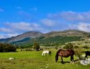 Einsame Strecken und Idylle in Kroatien