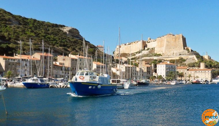 bonifacio b