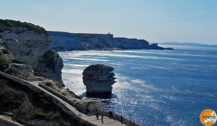 bonifacio d