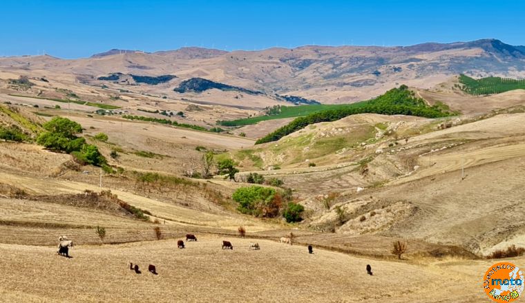 si15   12 von